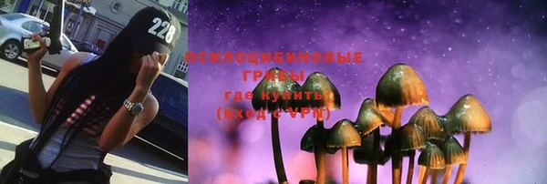ГАЛЛЮЦИНОГЕННЫЕ ГРИБЫ Протвино