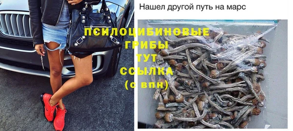 Альфа ПВП Приозерск