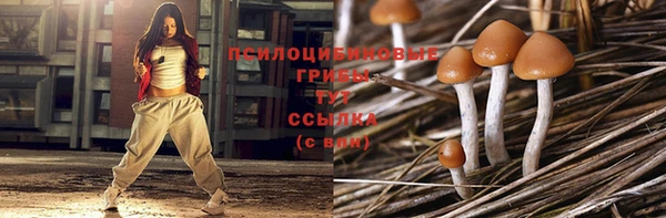 Альфа ПВП Приозерск