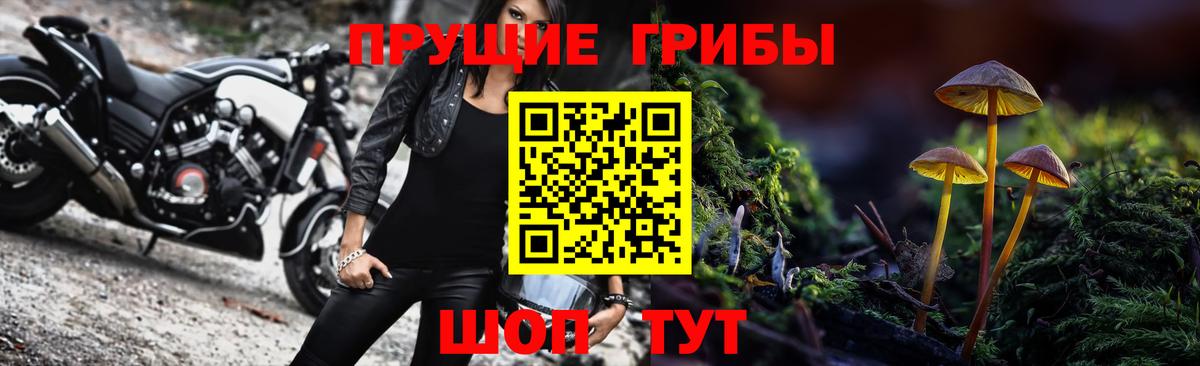 Галлюциногенные грибы MAGIC MUSHROOMS  Вход с VPN  Слободской 