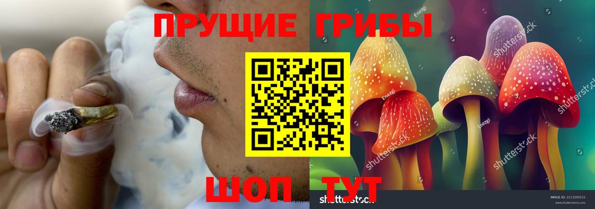 Галлюциногенные грибы Cubensis Слободской
